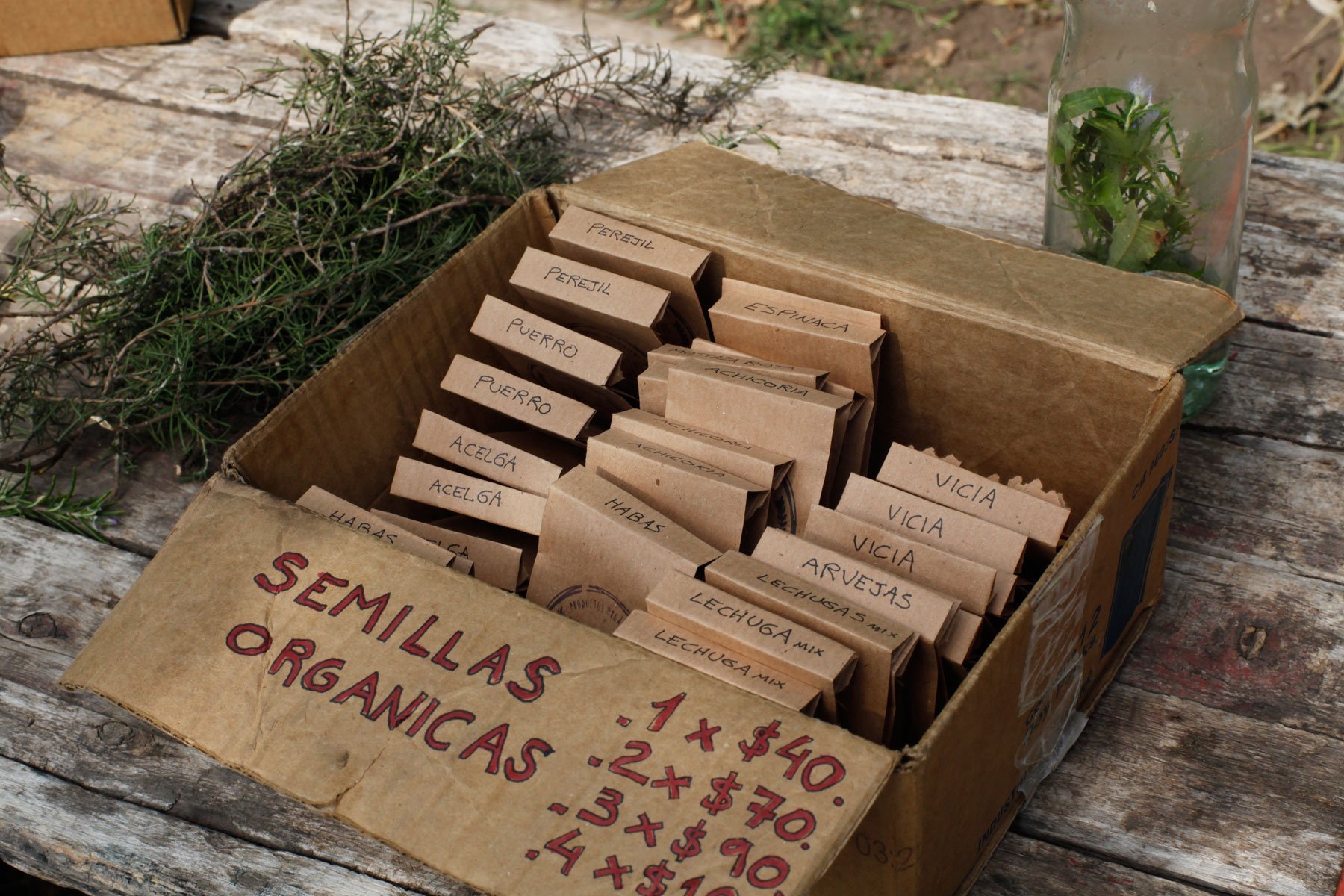 AUREA Flora - Casa de los Frutos por Ana Armendariz