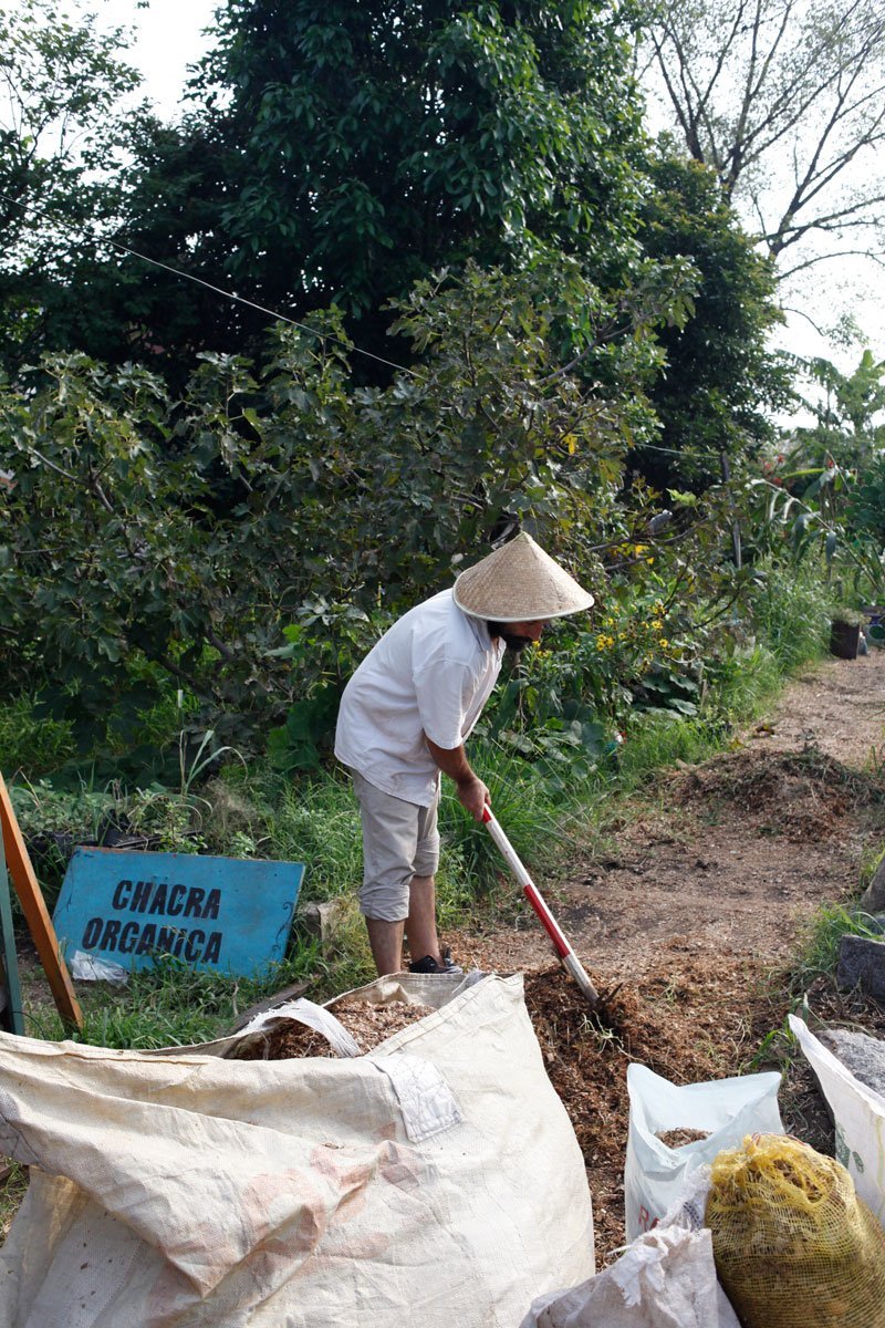 AUREA Flora - Casa de los Frutos por Ana Armendariz