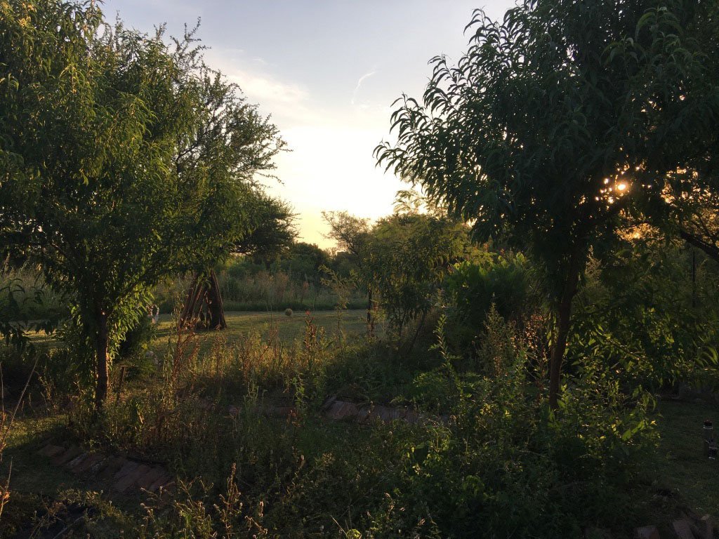 AUREA Flora - Casa de los Frutos por Ana Armendariz