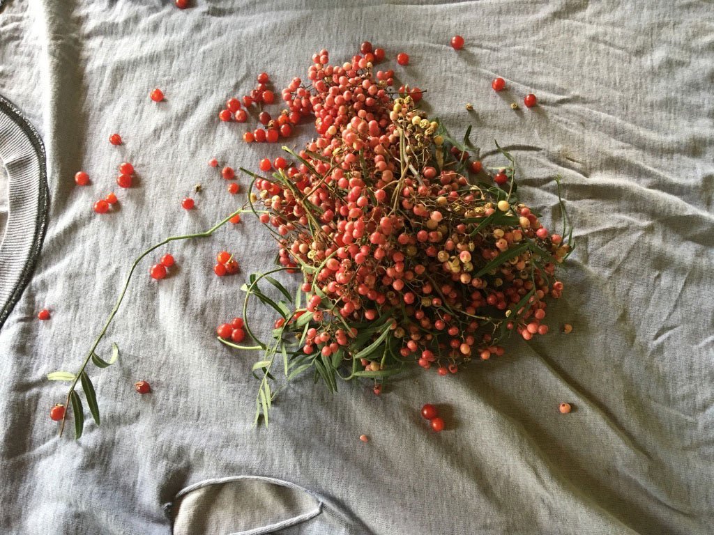 AUREA Flora - Casa de los Frutos por Ana Armendariz