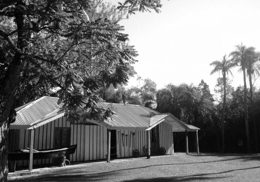 AUREA - POPURRI - MISIONES