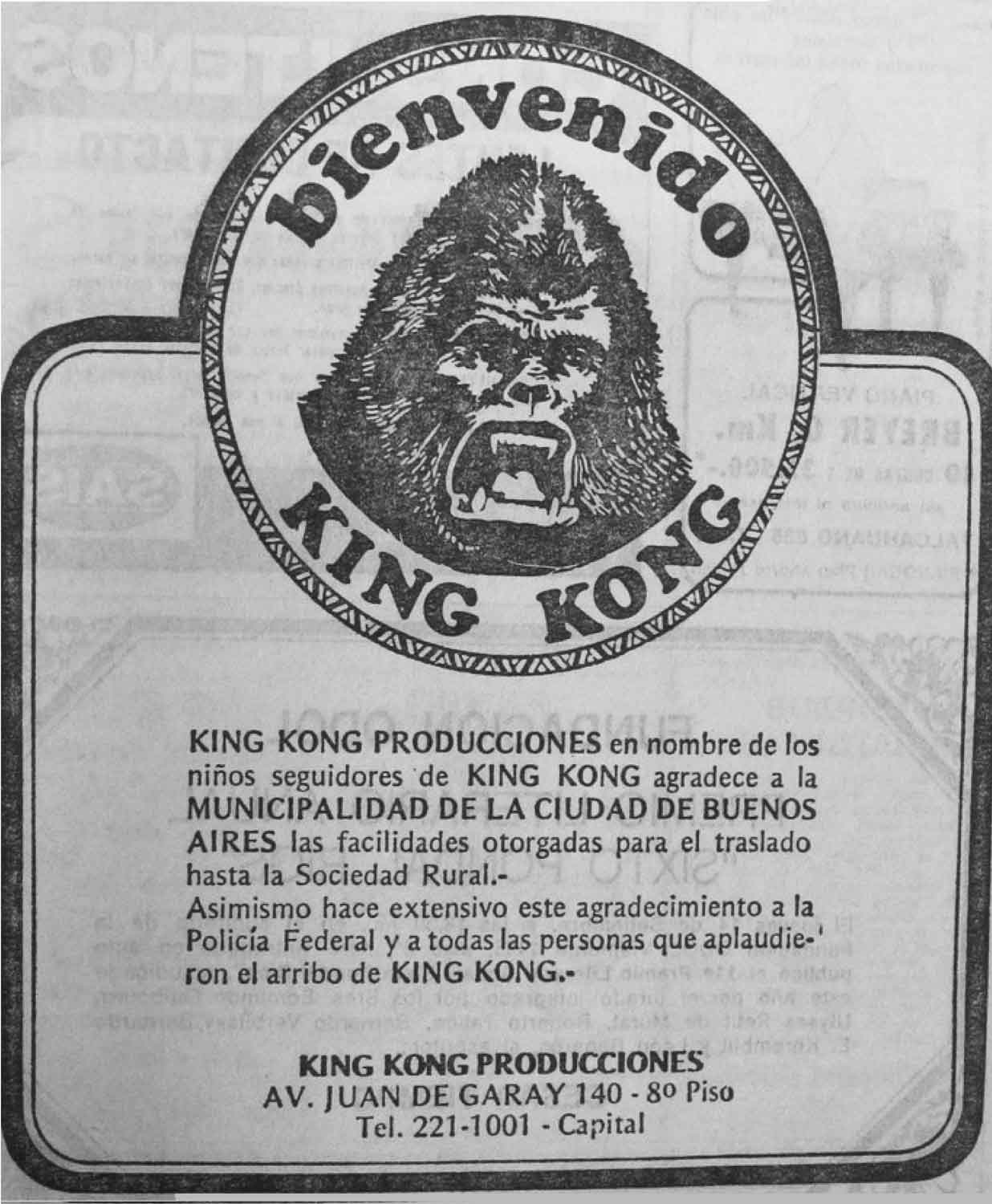 AUREA-FAUNA-KINGKONG-BABUNFEROZ