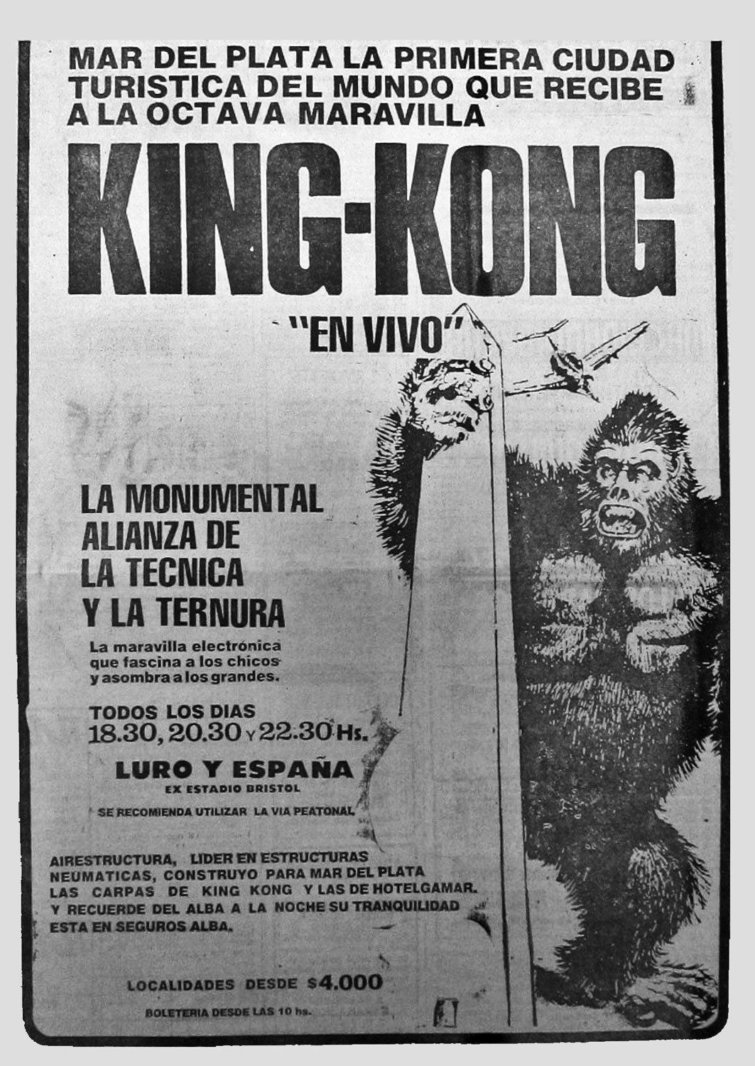 AUREA-FAUNA-KINGKONG-BABUNFEROZ